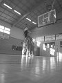 slam nation a pelissanne (49)